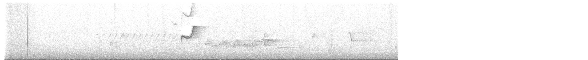 Western Flycatcher (Pacific-slope) - ML569419941
