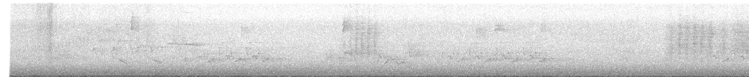 Swainson's Warbler - ML569447771