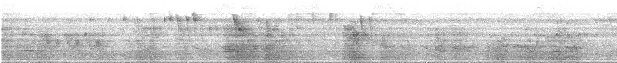 Черногорлая хвойница - ML569487811