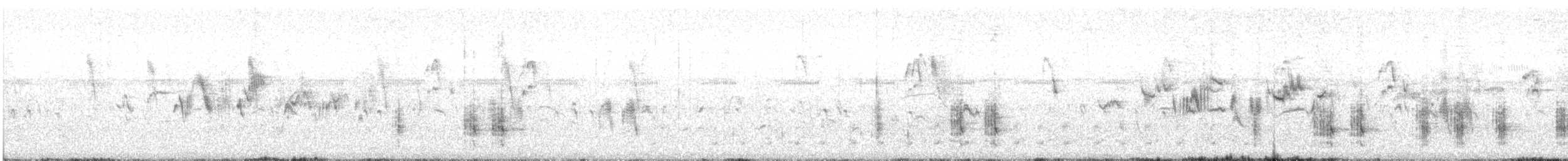 Great Reed Warbler - ML569503521