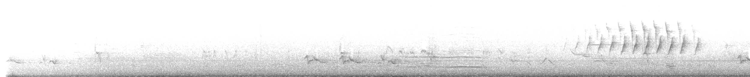 Paruline à couronne rousse (palmarum) - ML569520821