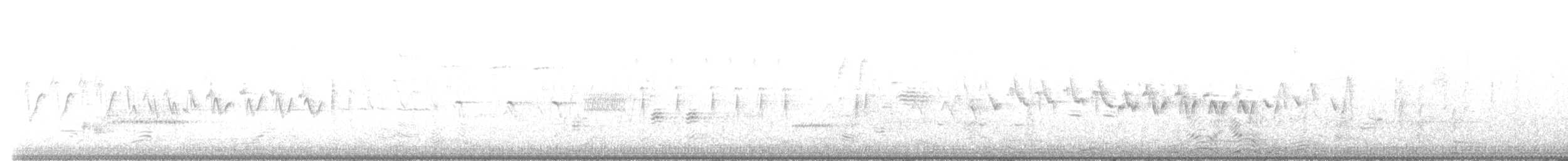 キヅタアメリカムシクイ（coronata） - ML569520951