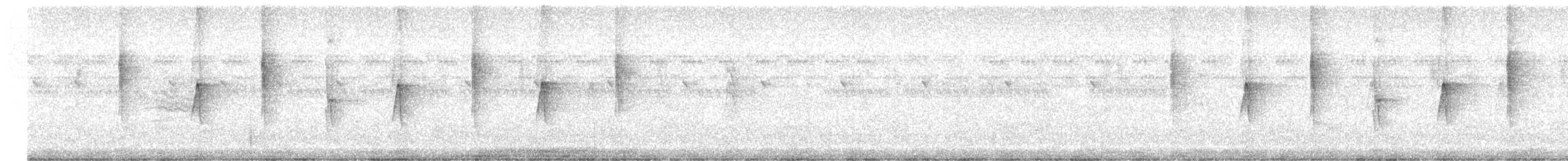 Colibri à ventre blanc - ML569550111