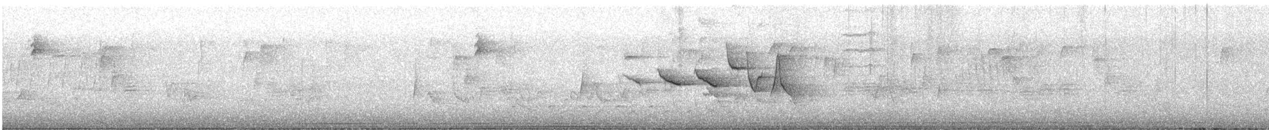 Swainson's Warbler - ML569553571