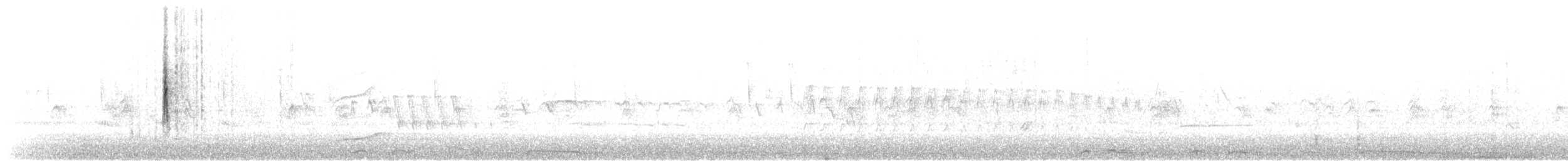Taçlı Ötleğen (coronata x auduboni) - ML569556191