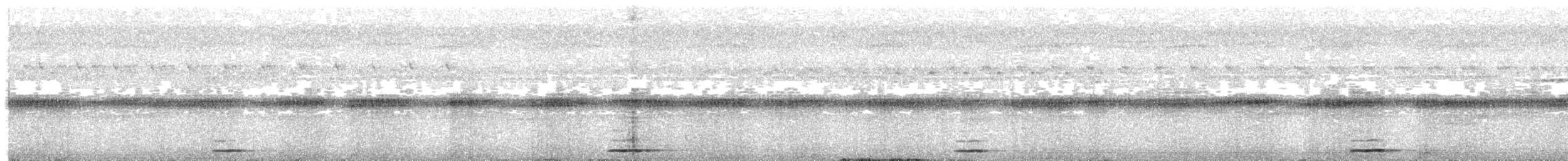 蘭嶼角鴞 - ML569597741