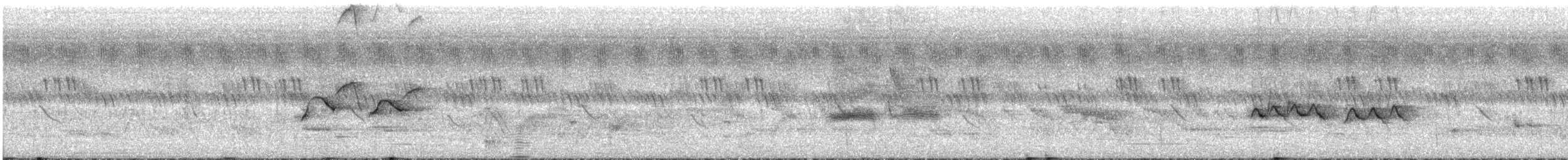 クロヒタキ - ML569605861