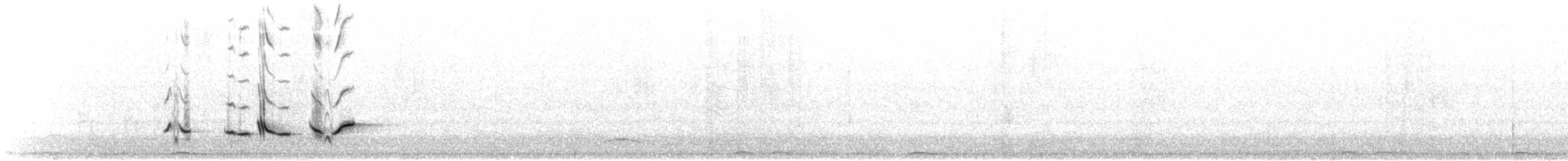 Scott's Oriole - ML569619391