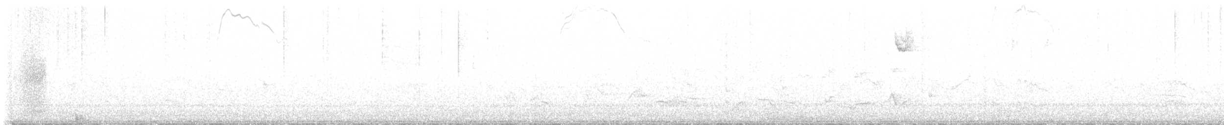 Hairy Woodpecker - ML569624781