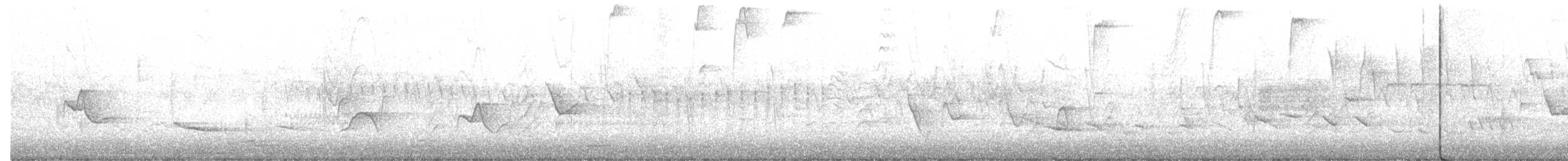 Blue-headed Vireo - ML569647061