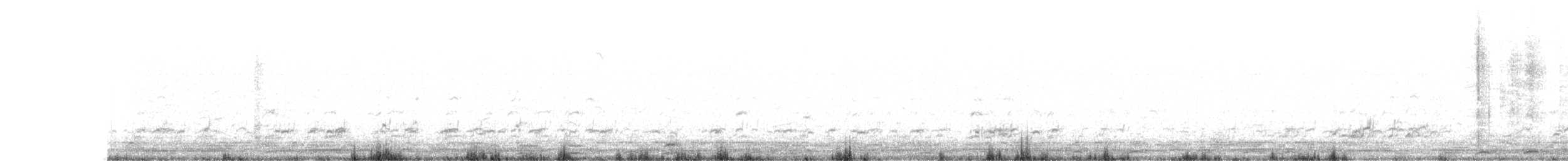Pied Avocet - ML56969991