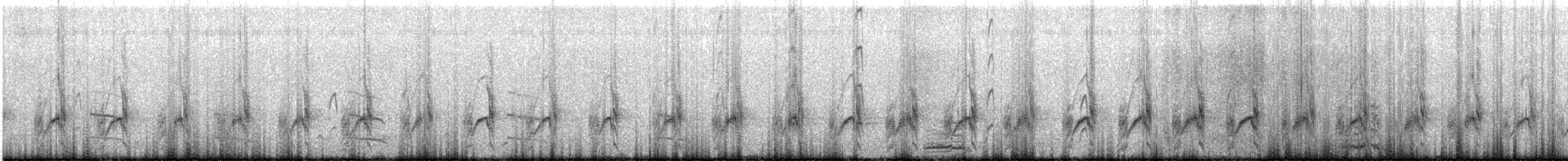 Chorlitejo Semipalmeado - ML569735481