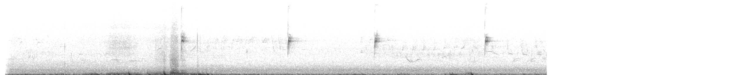 Dachsammer (leucophrys/oriantha) - ML569789731