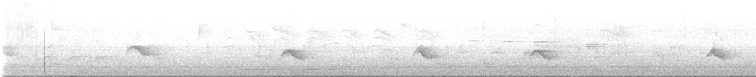 Tordo di Baird - ML569801771