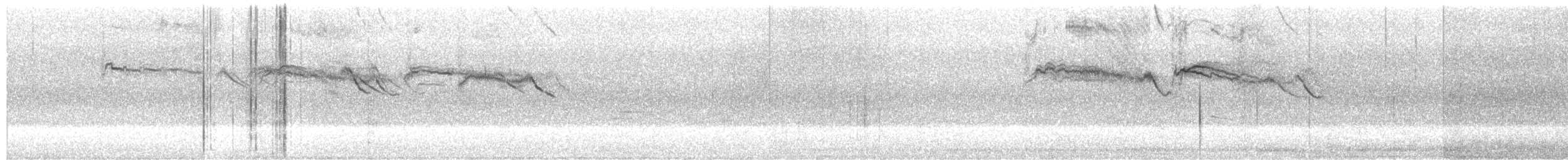 rorýs jednobarvý - ML569812011
