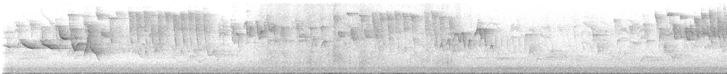 Swainson's Warbler - ML569816831