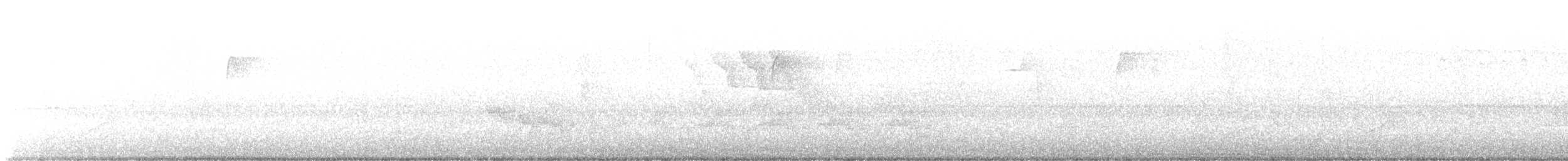 Magnolia Warbler - ML569834121