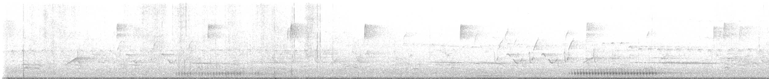 ウィルソンアメリカムシクイ - ML569861591