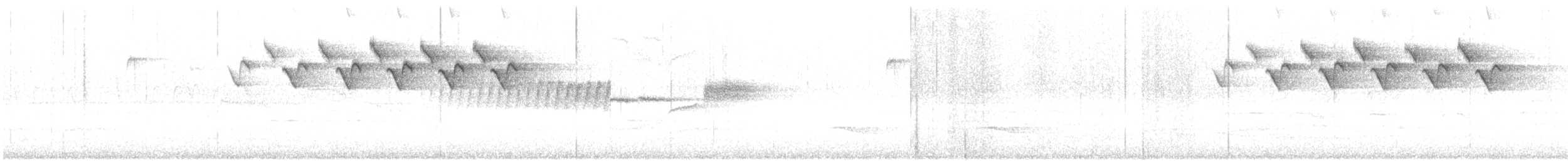 lesňáček černobílý - ML56990451