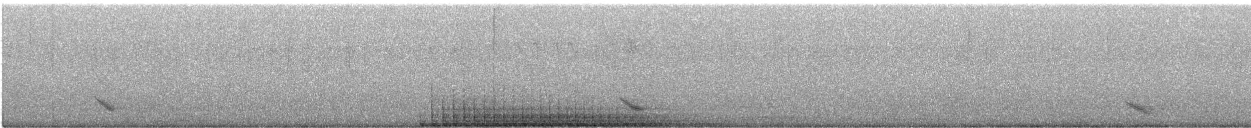 hvitbrynsvartspett - ML569931351