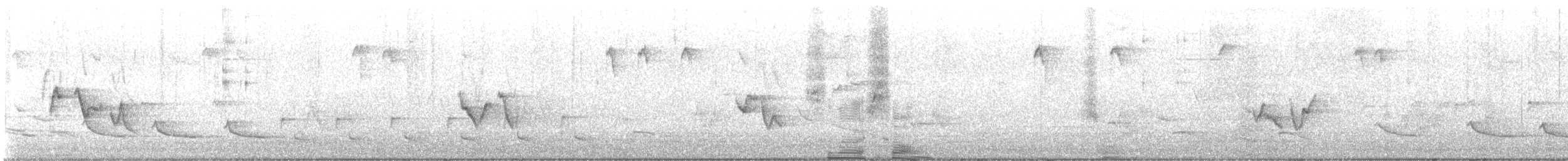 zelenáček kanadský - ML569950581