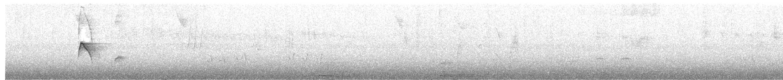 Coopmans's Elaenia - ML56995941