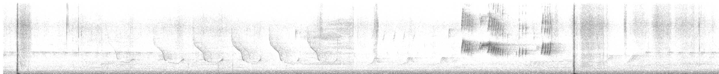 Gray Kingbird - ML569990371