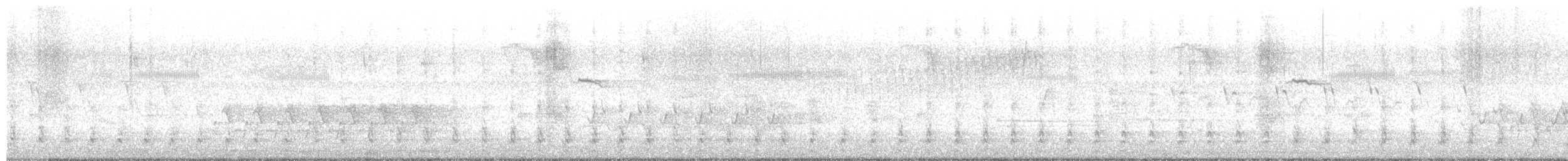 Pileated Woodpecker - ML569991701