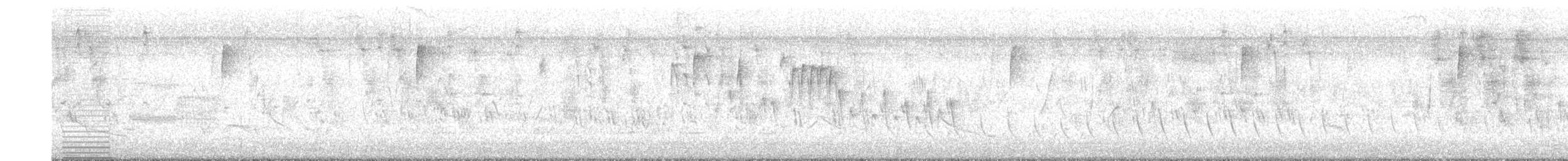 Troglodyte familier (groupe aedon) - ML569998781