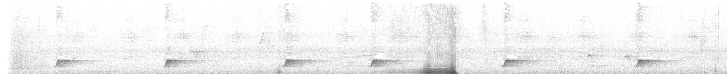 Short-tailed Antthrush - ML570022371