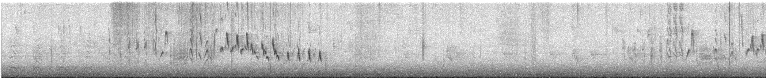 Northern House Wren - ML570029911