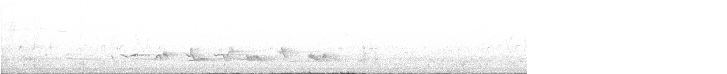 Чернокрылая пиранга - ML570065851
