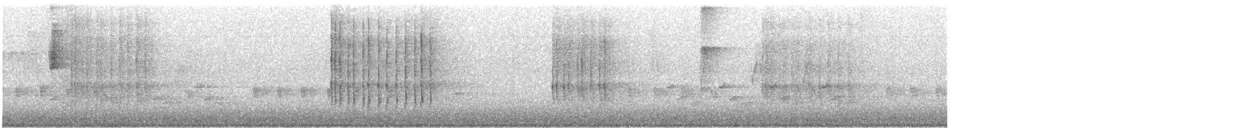 belteisfugl - ML570066481