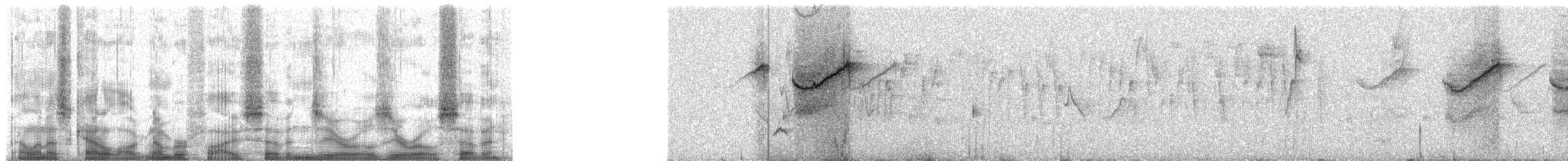 kullkronetanagar (atropileus) - ML57007