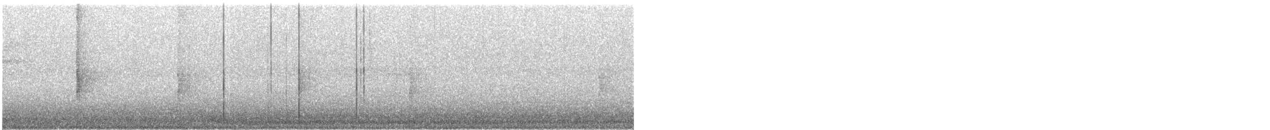 strømparula - ML570070291