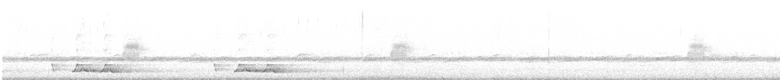 チャックウィルヨタカ - ML570090001