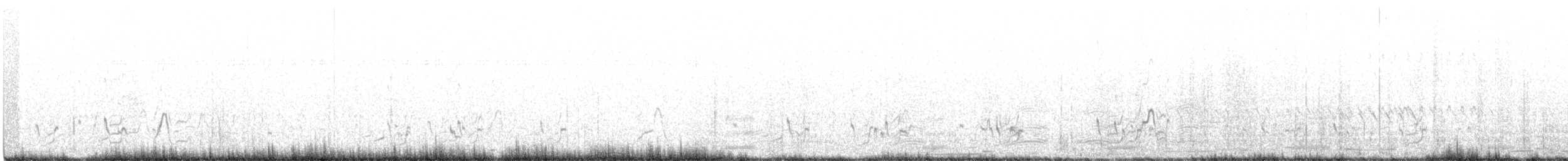 Zebra Ördeği - ML570097051