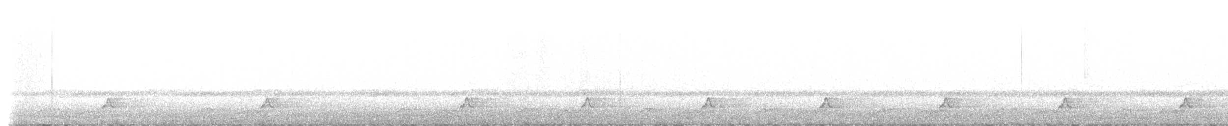 Schwarzkehl-Nachtschwalbe - ML570098381