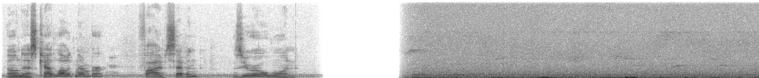 Понпейская миагра - ML5701