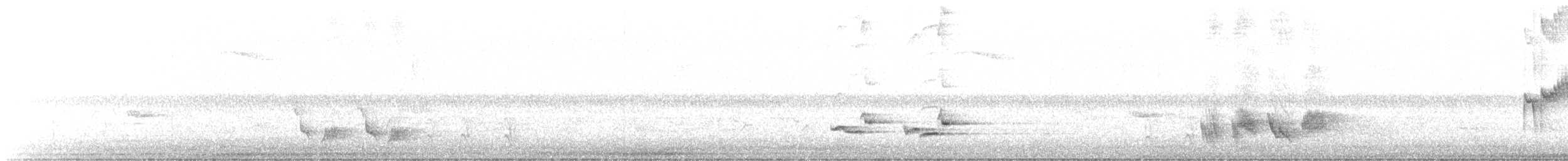 brunspottefugl - ML570101531