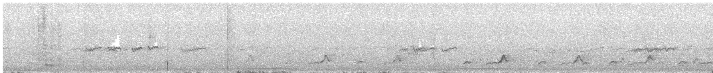Cüce Kumkuşu - ML570105161