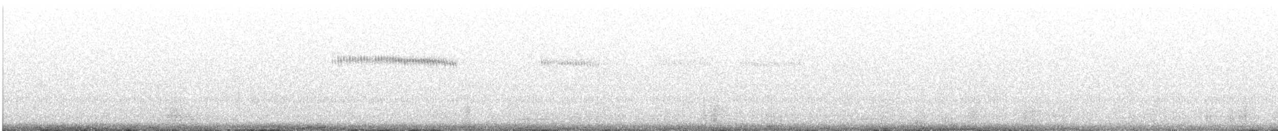 Широкохвостый колибри - ML570121501