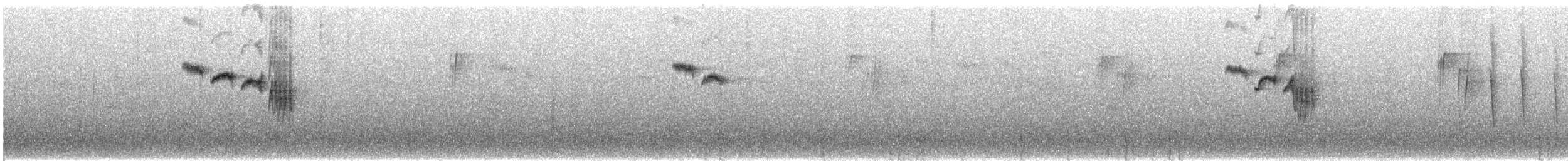 Broad-billed Warbler - ML570122921