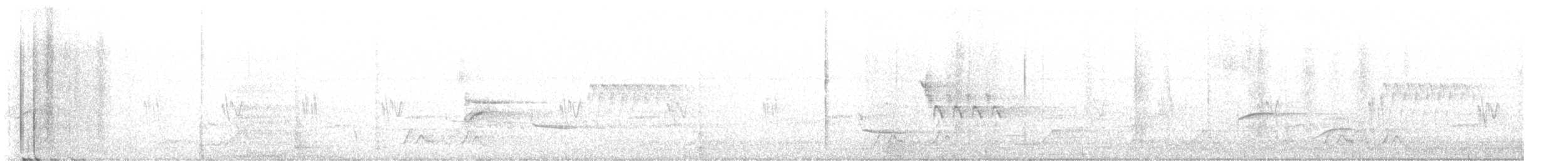 Carolinanachtschwalbe - ML570162711