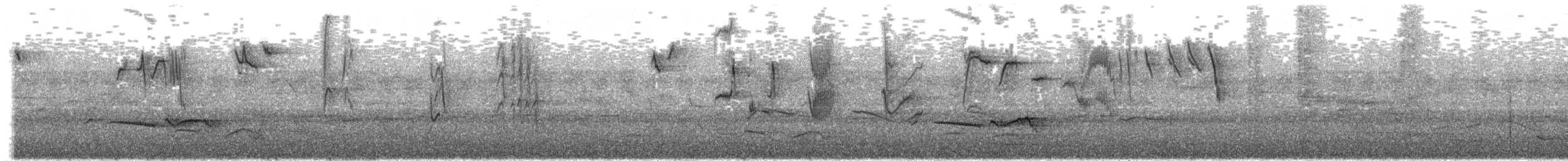gråflankefluesnapper - ML570179301