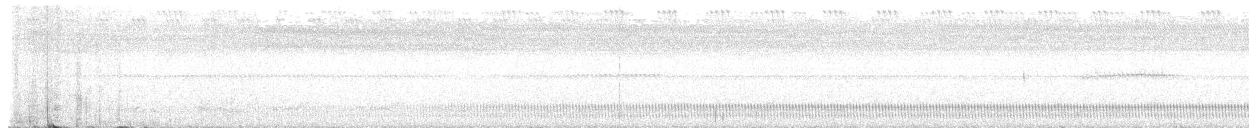 Schleppennachtschwalbe - ML570184821