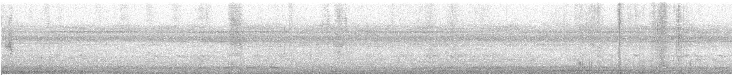 Пухохвіст білоплямистий - ML570189551