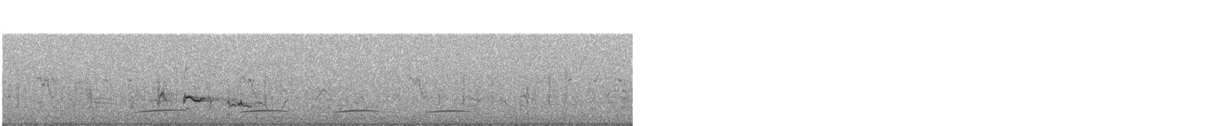 Зозуля чорна - ML570190091