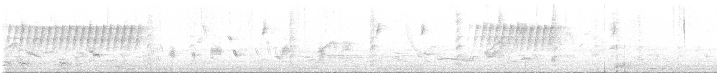 Eastern Phoebe - ML570230081