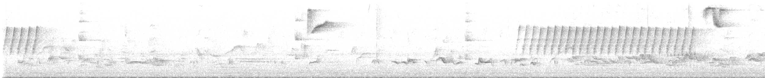 Eastern Phoebe - ML570231041